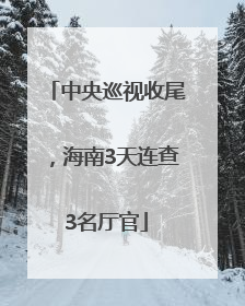 中央巡视收尾，海南3天连查3名厅官
