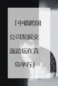 中德跨国公司发展交流论坛在青岛举行