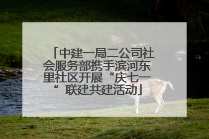 中建一局二公司社会服务部携手滨河东里社区开展“庆七一”联建共建活动