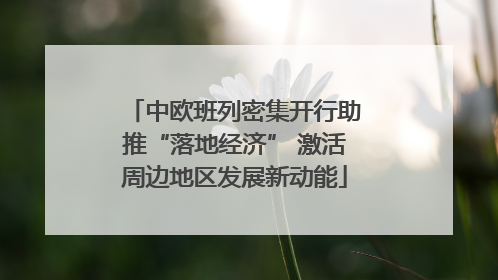 中欧班列密集开行助推“落地经济” 激活周边地区发展新动能