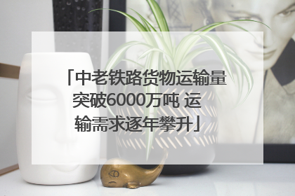 中老铁路货物运输量突破6000万吨 运输需求逐年攀升