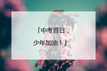 中考首日，少年加油！