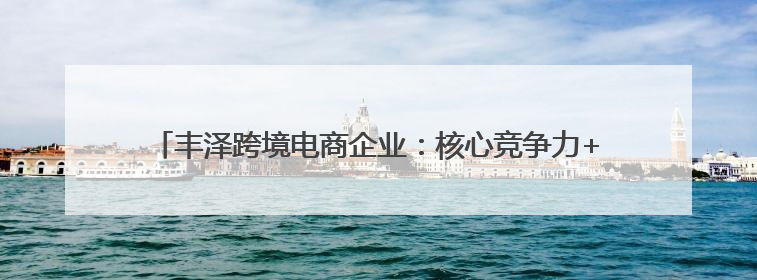 丰泽跨境电商企业：核心竞争力+柔性供应链 实现越山海、卖全球