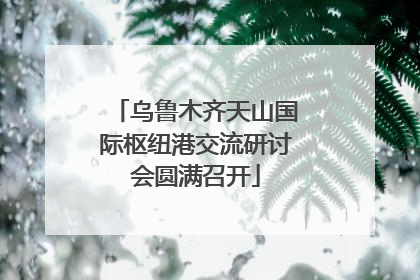 乌鲁木齐天山国际枢纽港交流研讨会圆满召开