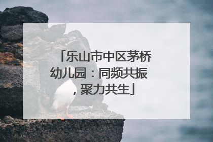 乐山市中区茅桥幼儿园：同频共振，聚力共生