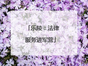 乐陵：法律服务进军营