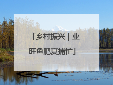 乡村振兴｜业旺鱼肥夏捕忙