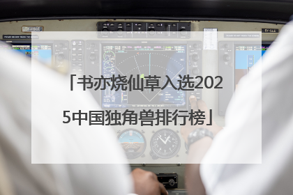 书亦烧仙草入选2025中国独角兽排行榜