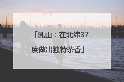 乳山：在北纬37度做出独特茶香