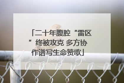 二十年腹腔“雷区”终被攻克 多方协作谱写生命赞歌