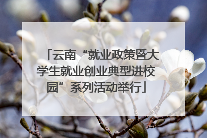 云南“就业政策暨大学生就业创业典型进校园”系列活动举行