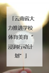 云南省大力推进学校体育美育“浸润行动计划”