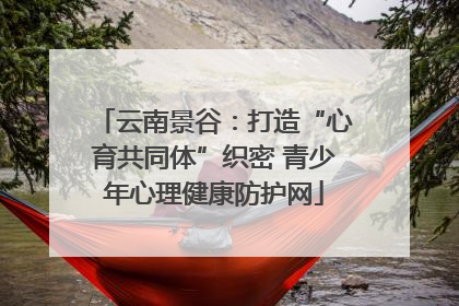云南景谷：打造“心育共同体”织密 青少年心理健康防护网