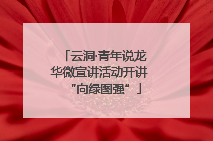 云洞·青年说龙华微宣讲活动开讲“向绿图强”