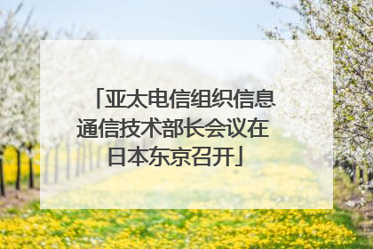 亚太电信组织信息通信技术部长会议在日本东京召开