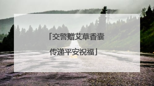交警赠艾草香囊 传递平安祝福