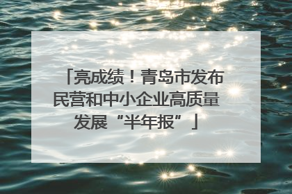 亮成绩！青岛市发布民营和中小企业高质量发展“半年报”
