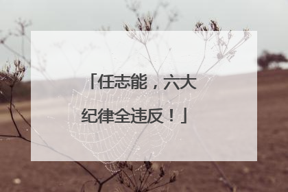 任志能，六大纪律全违反！
