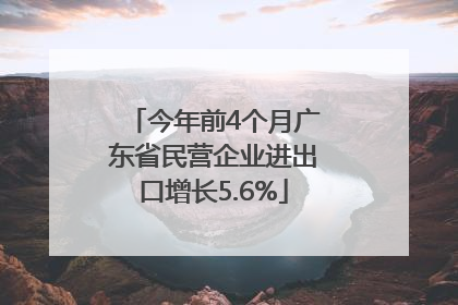 今年前4个月广东省民营企业进出口增长5.6%