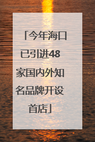 今年海口已引进48家国内外知名品牌开设首店
