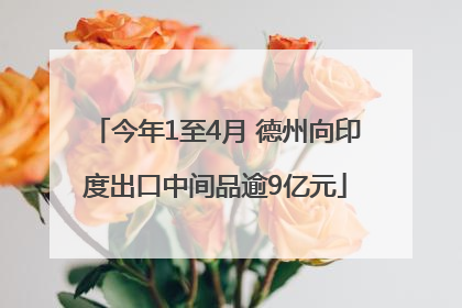 今年1至4月 德州向印度出口中间品逾9亿元