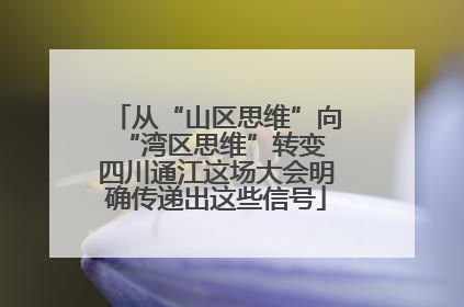 从“山区思维”向“湾区思维”转变 四川通江这场大会明确传递出这些信号