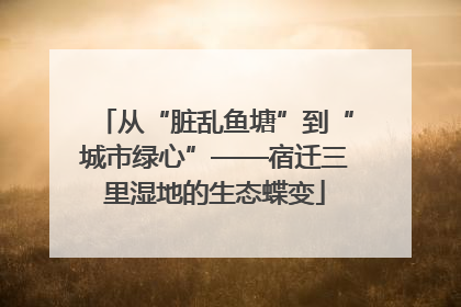 从“脏乱鱼塘”到“城市绿心”——宿迁三里湿地的生态蝶变