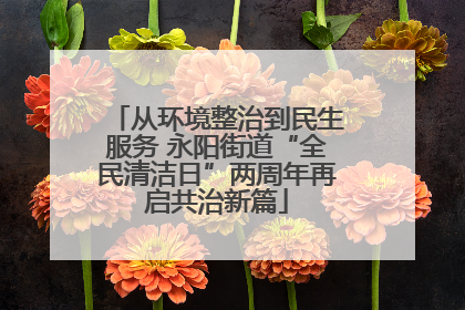 从环境整治到民生服务 永阳街道“全民清洁日”两周年再启共治新篇