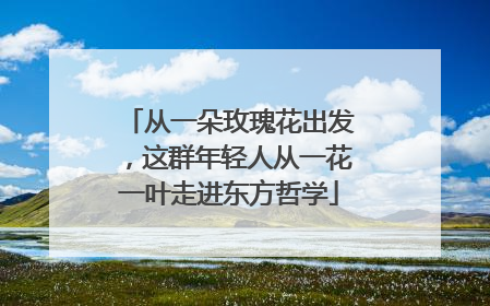 从一朵玫瑰花出发，这群年轻人从一花一叶走进东方哲学