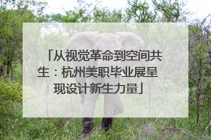 从视觉革命到空间共生：杭州美职毕业展呈现设计新生力量