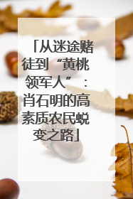 从迷途赌徒到“黄桃领军人”：肖石明的高素质农民蜕变之路
