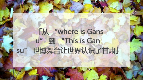 从 “where is Gansu” 到 “This is Gansu” 世博舞台让世界认识了甘肃