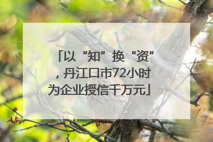 以“知”换“资”，丹江口市72小时为企业授信千万元
