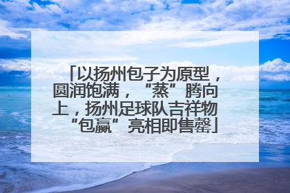 以扬州包子为原型，圆润饱满，“蒸”腾向上，扬州足球队吉祥物“包赢”亮相即售罄