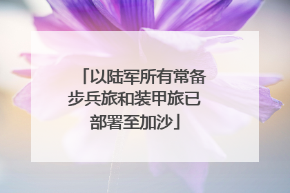 以陆军所有常备步兵旅和装甲旅已部署至加沙