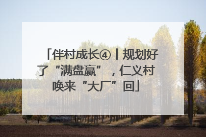 伴村成长④丨规划好了“满盘赢”，仁义村唤来“大厂”回