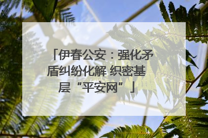 伊春公安：强化矛盾纠纷化解 织密基层“平安网”