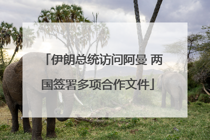 伊朗总统访问阿曼 两国签署多项合作文件