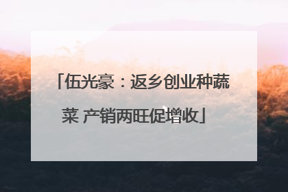 伍光豪：返乡创业种蔬菜 产销两旺促增收