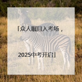 众人瞩目入考场，2025中考开启