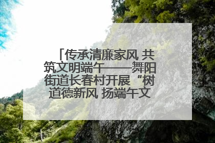 传承清廉家风 共筑文明端午——舞阳街道长春村开展“树道德新风 扬端午文化”主题活动