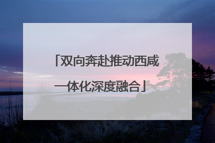 双向奔赴推动西咸一体化深度融合