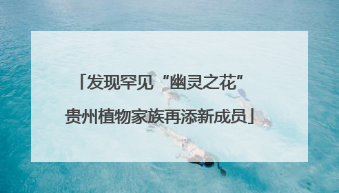 发现罕见“幽灵之花” 贵州植物家族再添新成员