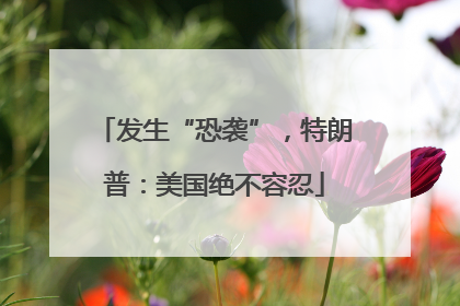 发生“恐袭”，特朗普：美国绝不容忍