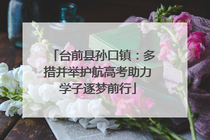 台前县孙口镇：多措并举护航高考助力学子逐梦前行