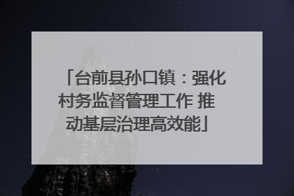 台前县孙口镇：强化村务监督管理工作 推动基层治理高效能