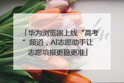 华为浏览器上线“高考”频道，AI志愿助手让志愿填报更稳更准