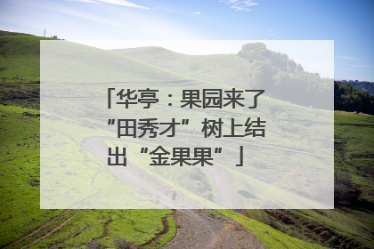 华亭：果园来了“田秀才”树上结出“金果果”