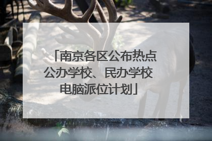南京各区公布热点公办学校、民办学校电脑派位计划