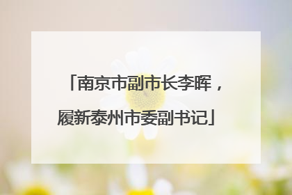 南京市副市长李晖，履新泰州市委副书记
